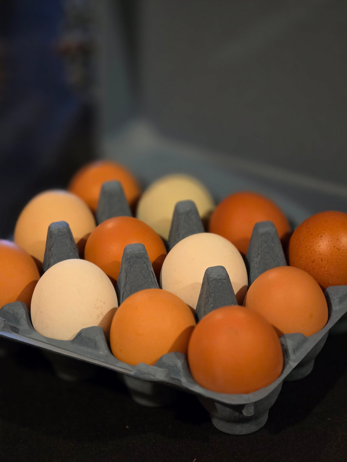 Non-GMO Free-Range Eggs